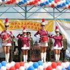 Оркестры