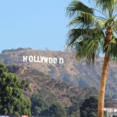 выездной квест Hollywood