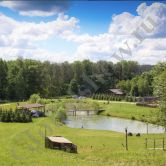 Площадки для корпоратива