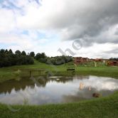 площадки для мероприятий