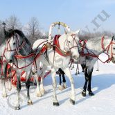 Проведение новогоднего корпоратива