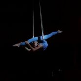 Цирковые номера