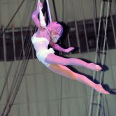 Цирковые номера