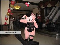 Номера комического стриптиза (интерактивный шуточный номер)